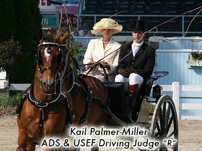 Kail Palmer-Miller, ADS & USEF Driving Judge